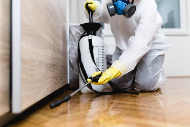 Best Residential Pest Control  in Six Mile Run, NJ
