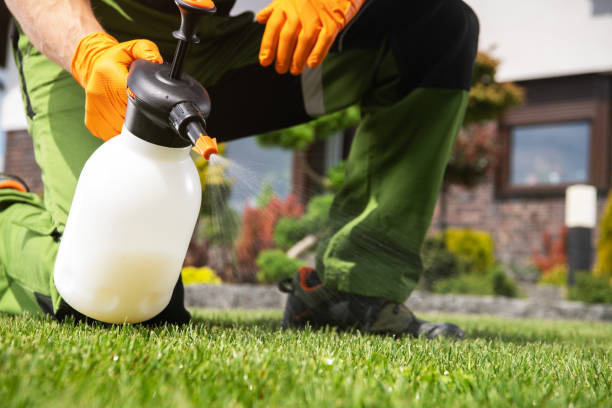 Best Mosquito Control Services  in Six Mile Run, NJ