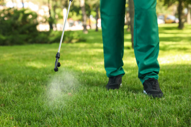 Best Rat Extermination Near Me  in Six Mile Run, NJ