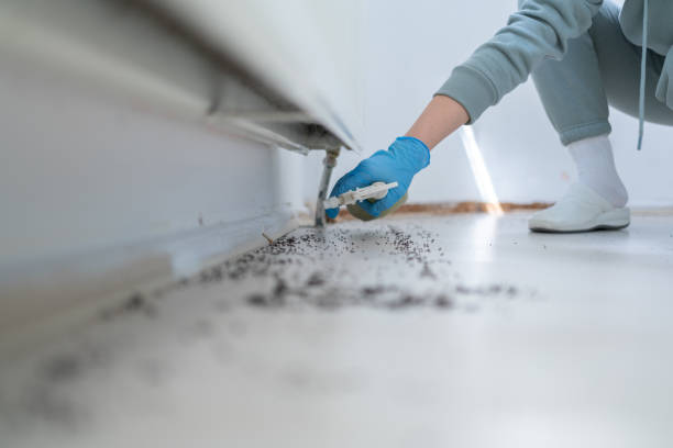 Trusted Six Mile Run, NJ Pest Control Experts